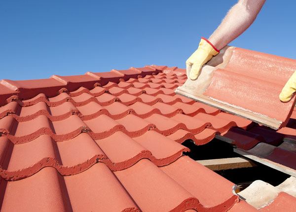 About Arvilla ND Roofers